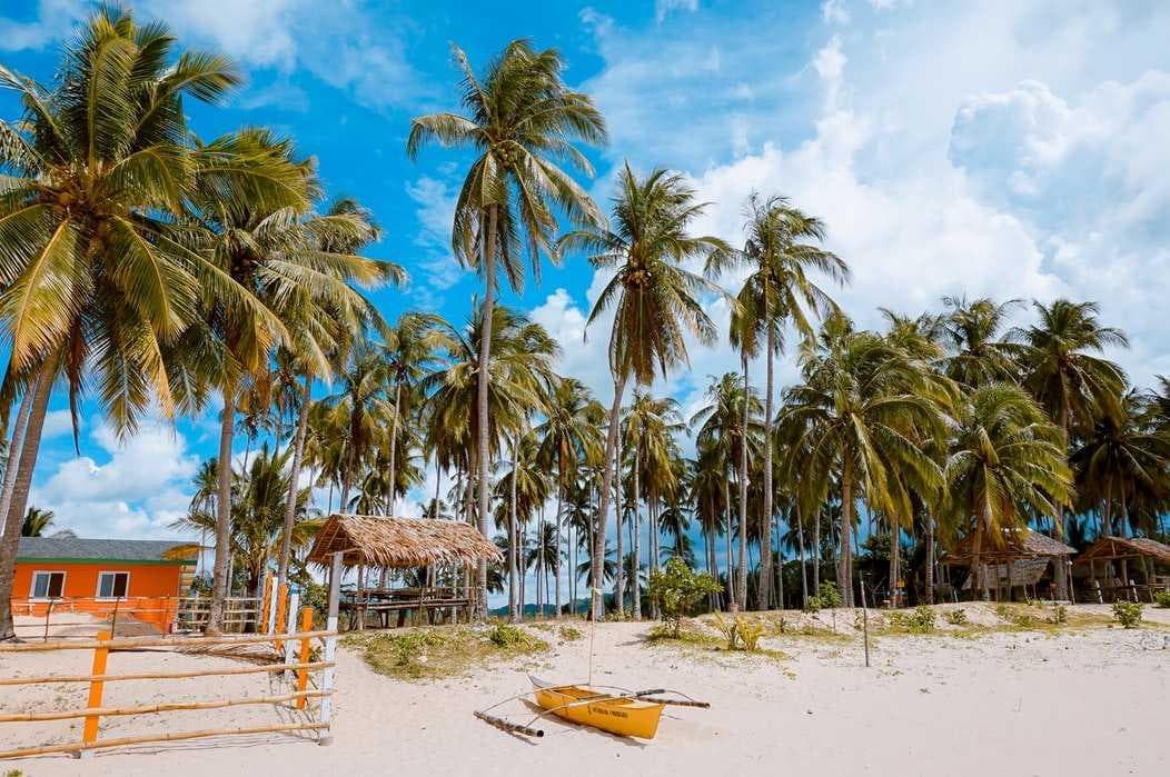 Moçambique